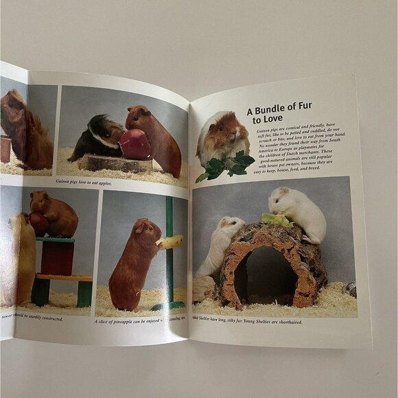 Guinea Pigs Family Pet Series Katrin Behrend Barron's Paperback Care Guide - Picture 8 of 12